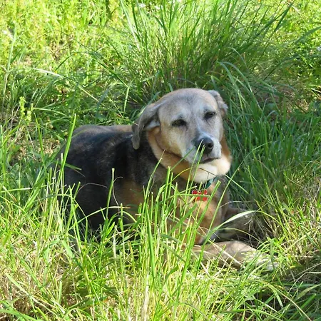 Σπίτι διακοπών Gorgeous House Exclusive Location Αλόννησος